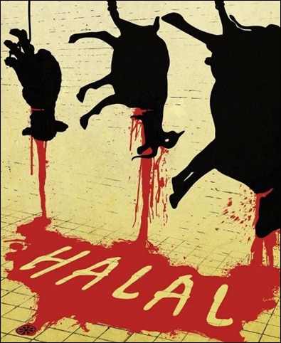 halal-slaughter-480